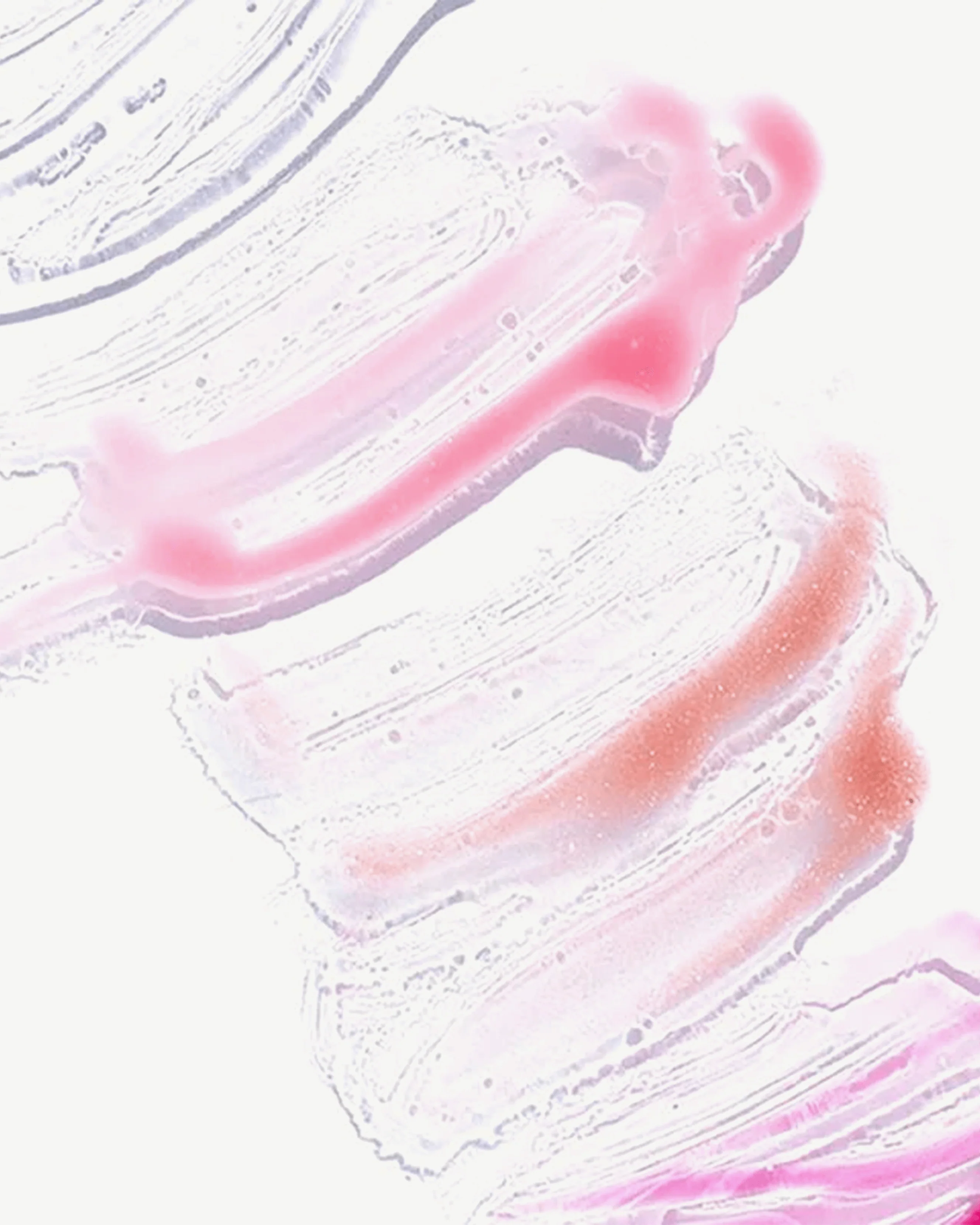Thumbnail 26